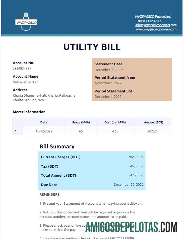 Para baxiar BANGLADESH WAZIPADICO POWER Conta de serviços públicos Word e modelo PDF
